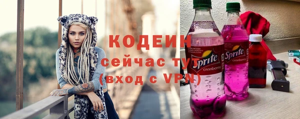 дурь Рославль